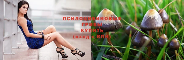 эйфоретик Абинск