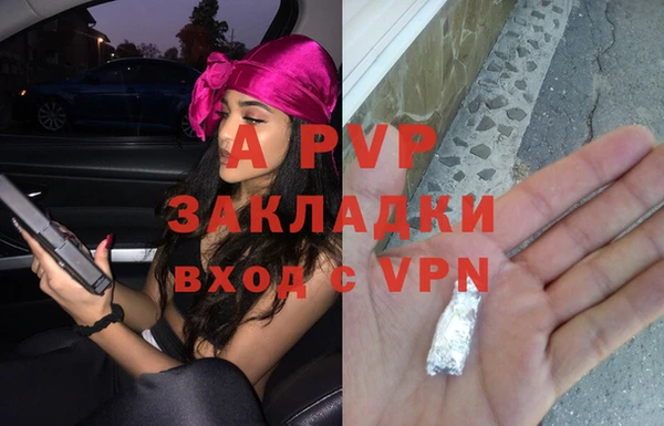 винт Абаза
