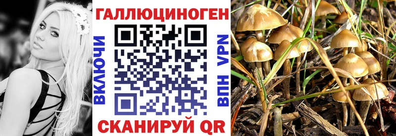 Псилоцибиновые грибы мицелий  Пучеж 
