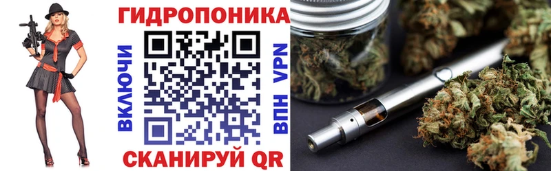 Конопля SATIVA & INDICA  как найти наркотики  Пучеж 